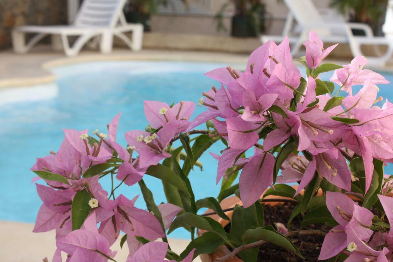 Residence Le Lotus Grand-Baie Kültér fotó